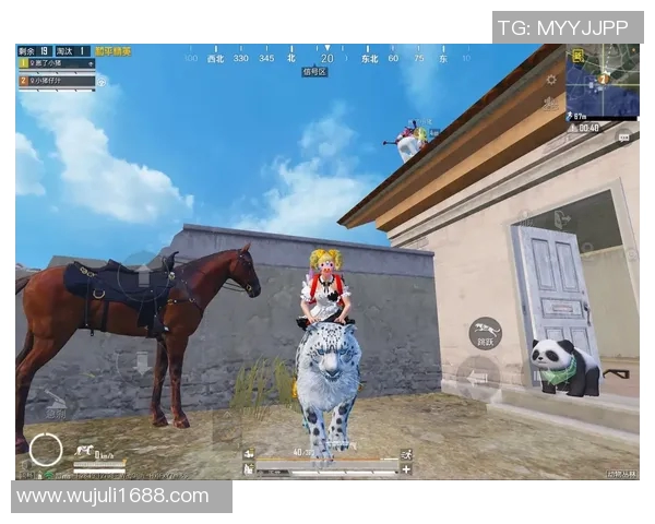 esports数据探索张丽在和平精英中的成长与挑战之旅 esports数据探索张丽在和平精英中的成长与挑战之旅